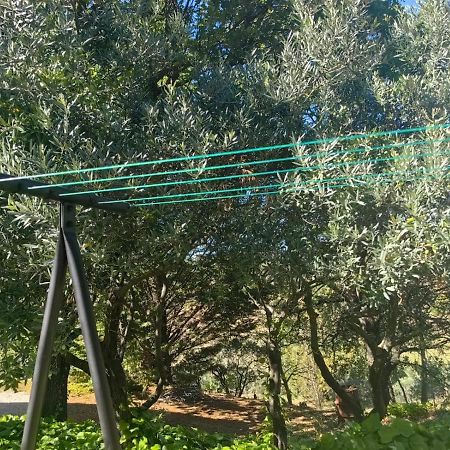 Petit Coin De Paradis En Provence Aups Exterior foto